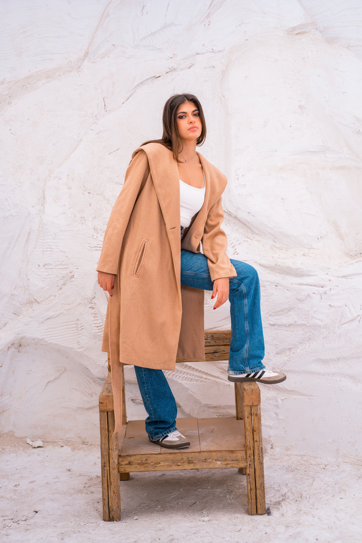 Hood wool coat