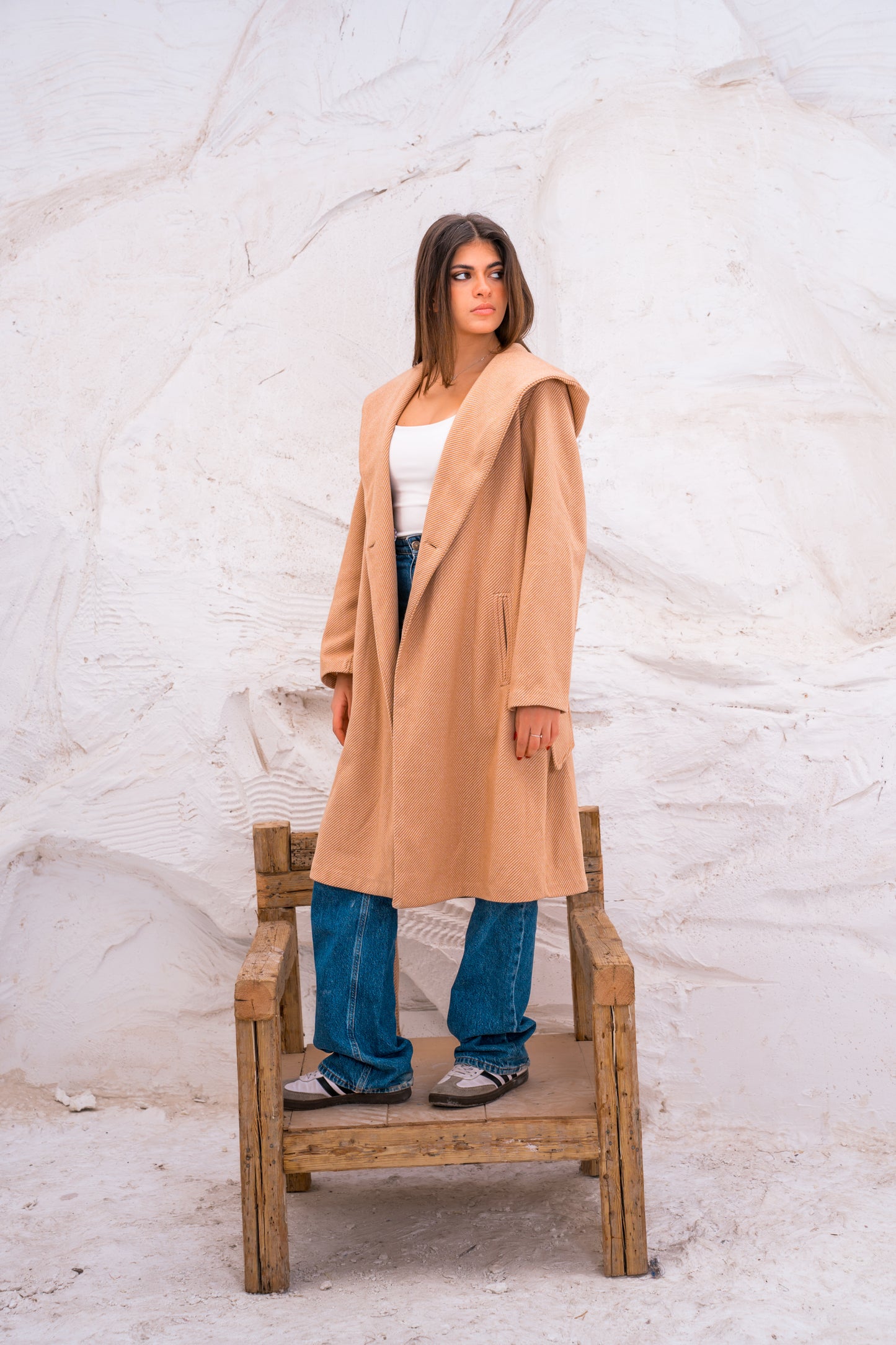 Hood wool coat