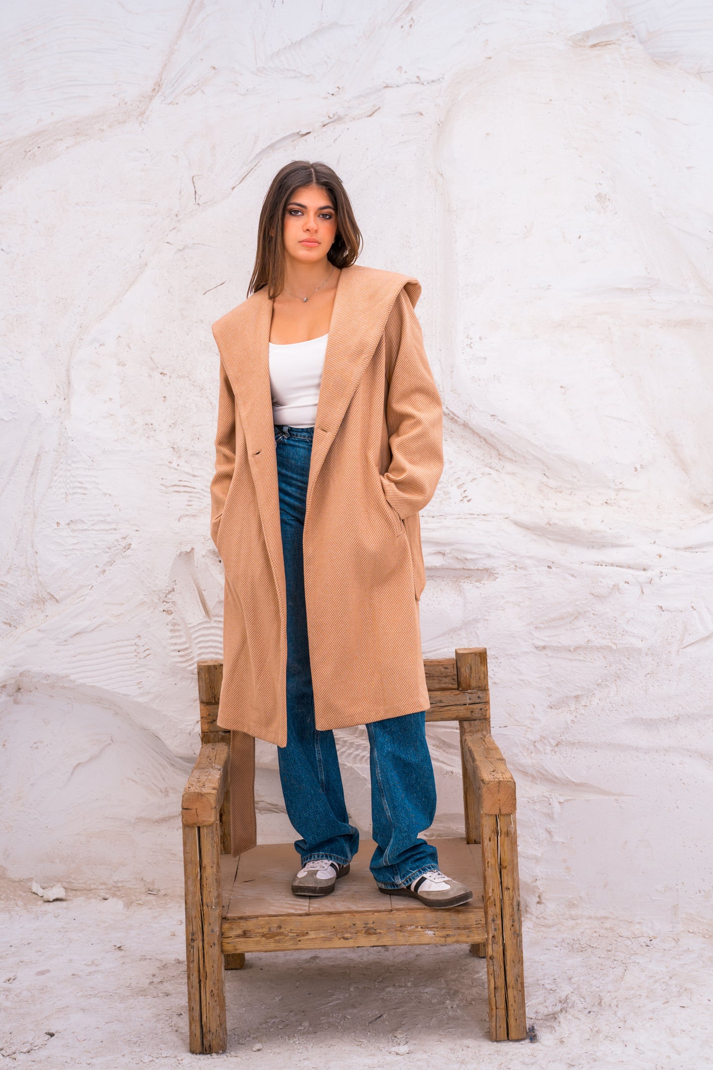 Hood wool coat